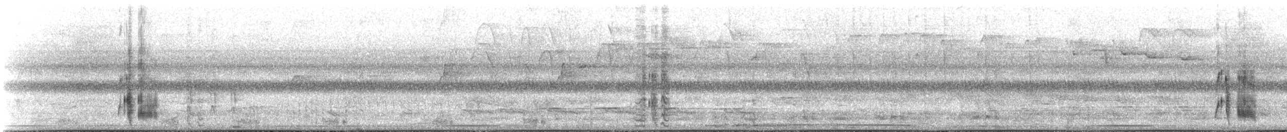 Caïque à queue courte - ML535713081