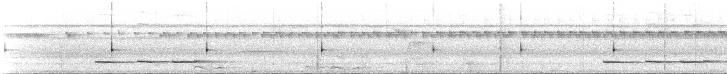 Pheasant Cuckoo - ML535716221