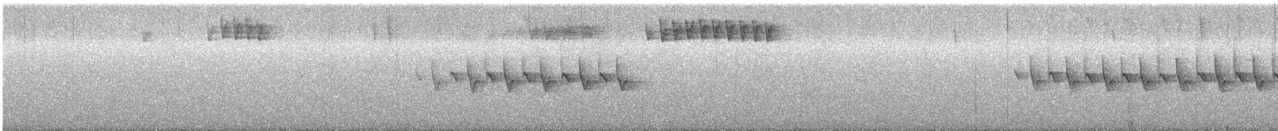 Tannenmeise (ptilosus/kuatunensis) - ML535732521