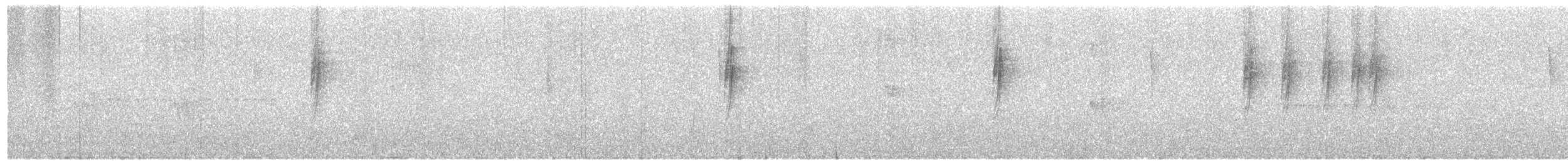 Траурная нектарница - ML535752621