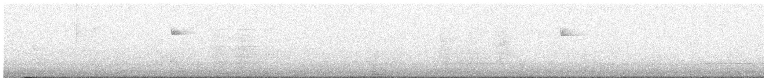 Batı Amerika Sinekkapanı (occidentalis/hellmayri) - ML535779221
