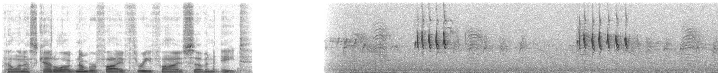 strdimil zlatokřídlý - ML53578