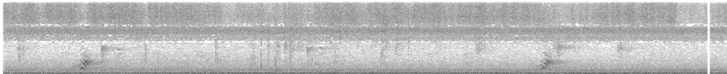 Южноамериканский лапчатоног - ML535784981