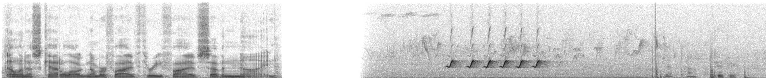 Вюргер червонолобий - ML53579