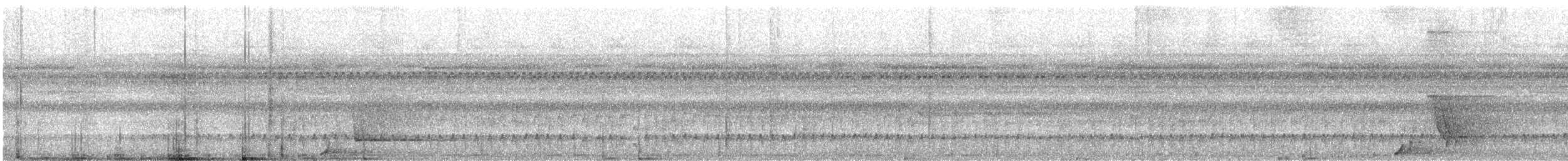 White-necked Puffbird - ML535861021