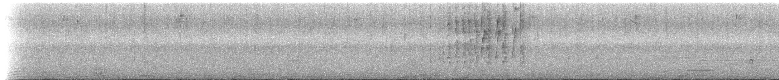 Percefleur à gorge noire (brunneiventris) - ML535879301