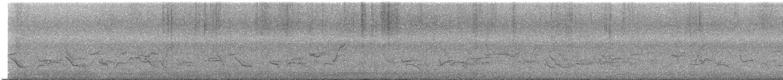 インカマユミソサザイ - ML535886931