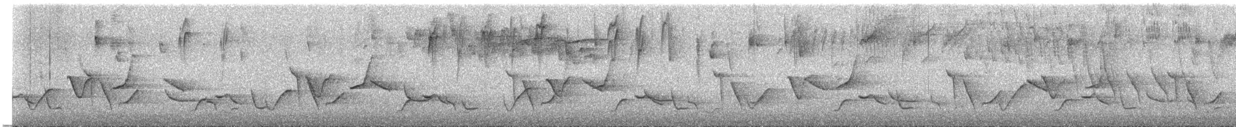 インカマユミソサザイ - ML535888811