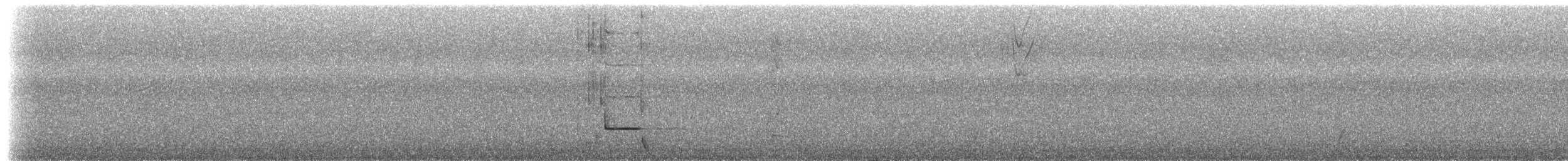 Cassique roussâtre (groupe angustifrons) - ML535892201