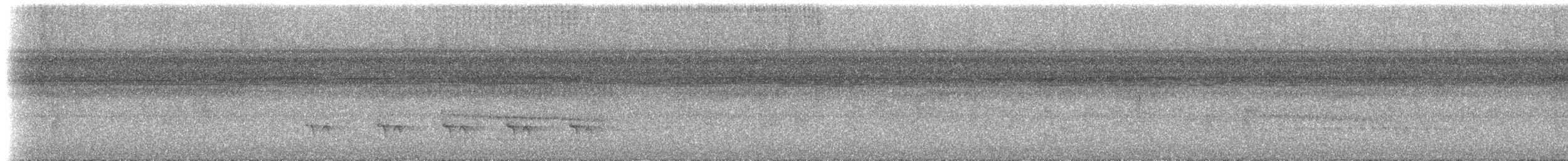 Stripe-chested Antwren - ML535897341