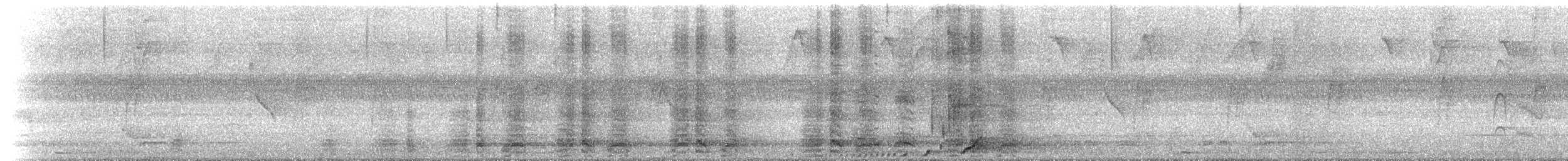 Speckled Chachalaca (Speckled) - ML535899081