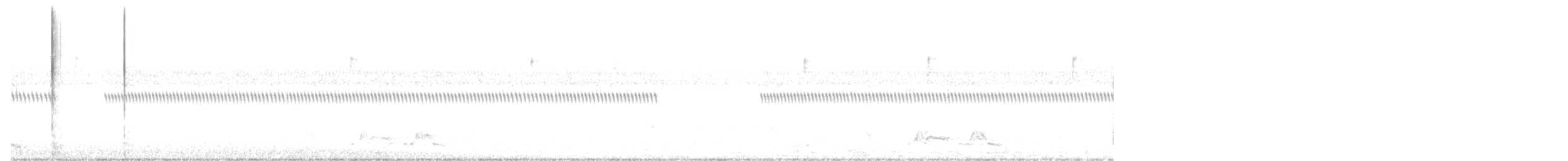 Carolinanachtschwalbe - ML535900431