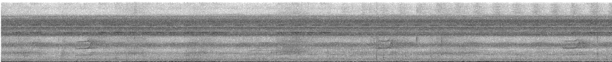 Brownish Twistwing - ML535901411