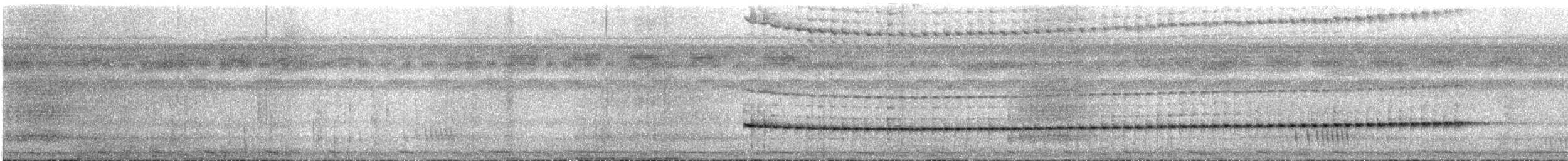 Rufous-capped Antthrush - ML535901631