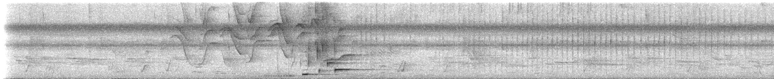Breithauben-Stirnvogel [angustifrons-Gruppe] - ML535903651