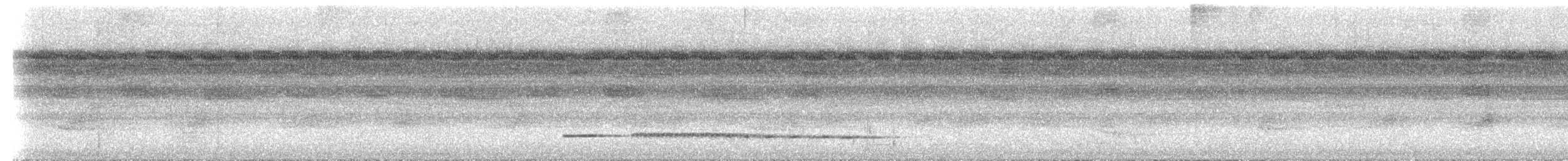 Graubrust-Ameisendrossel [analis-Gruppe] - ML535904771