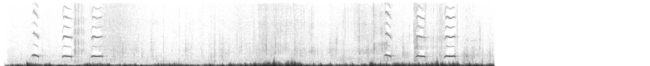 Tawny Antpitta - ML535914821