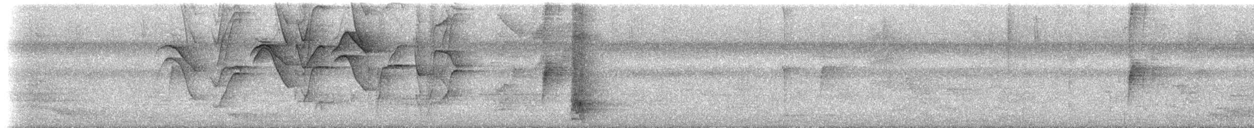 Breithauben-Stirnvogel [angustifrons-Gruppe] - ML535920981