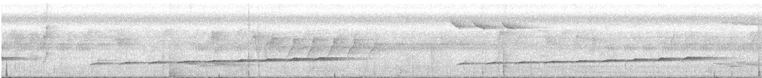 Филиппинская дронговая кукушка - ML535921561