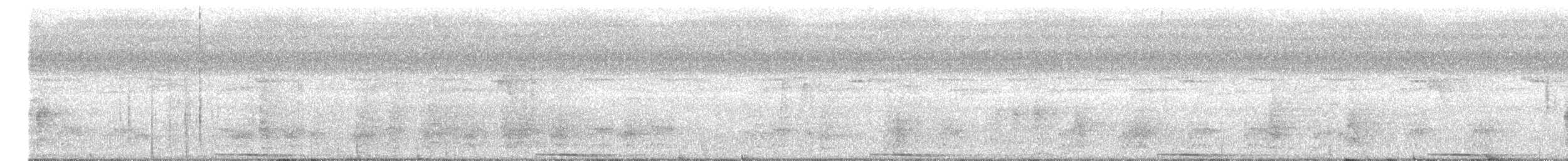 Борнейская воронья кукушка - ML535928181