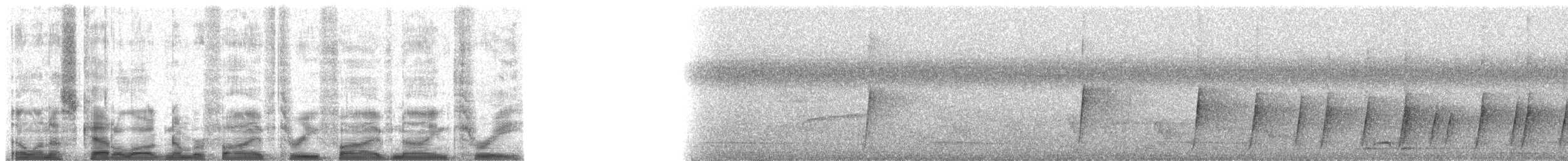 Joyful Greenbul - ML53593