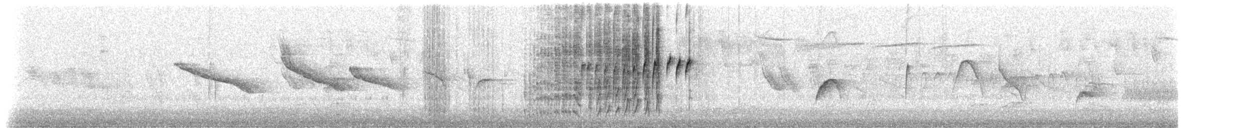Percefleur à gorge noire (brunneiventris) - ML535931191