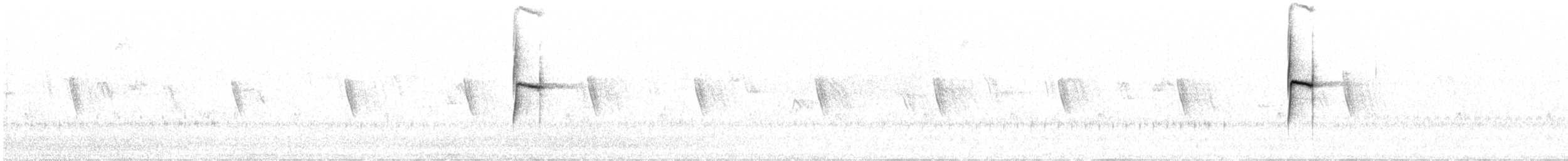 Корпуана плямистощока - ML535931621