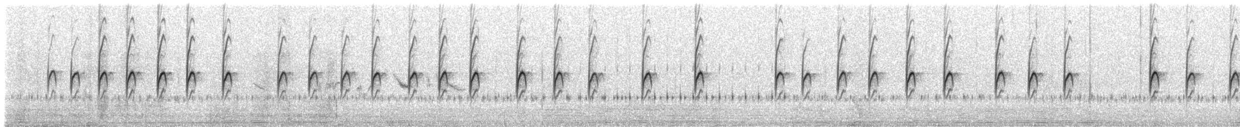 Grass Wren (Puna) - ML535931691