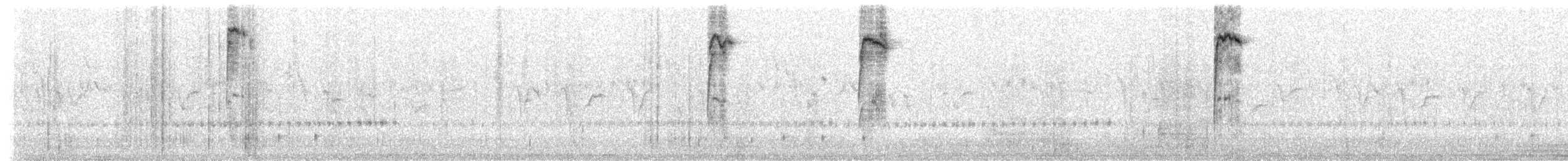 シラヒゲハナサシミツドリ（albilinea） - ML535931971