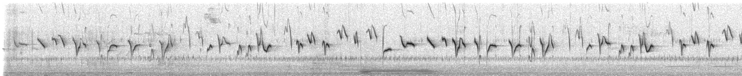 Percefleur moustachu (albilinea) - ML535932081