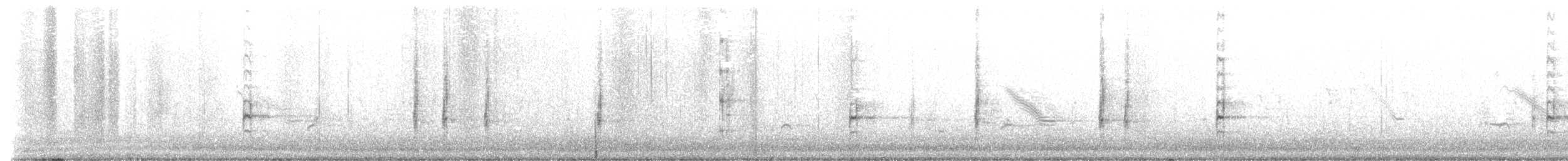 שחרורית אדומת-כנף - ML535941191