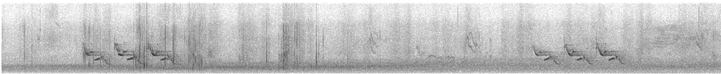 Каролинский крапивник - ML535957471