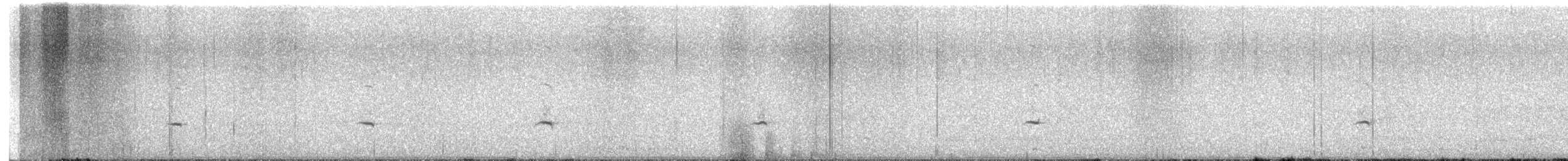 Townsend's Solitaire - ML535976841