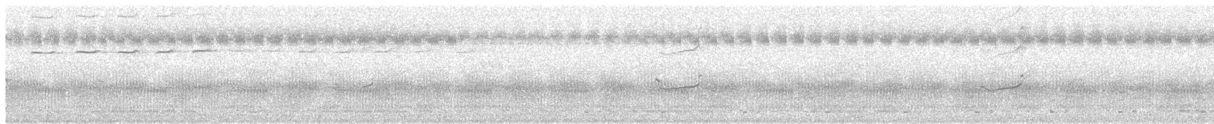 Great Thick-knee - ML536007871
