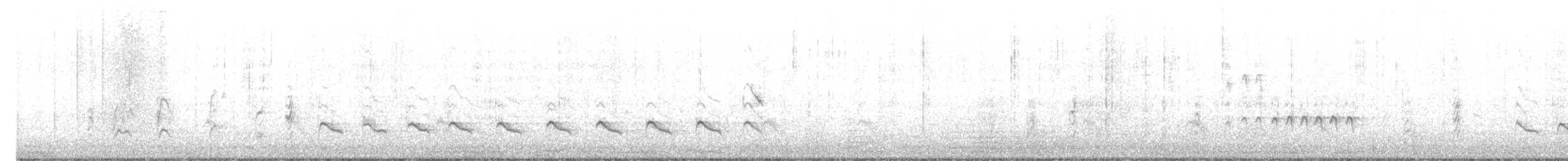Paradoxornis du Yangtsé - ML536022031