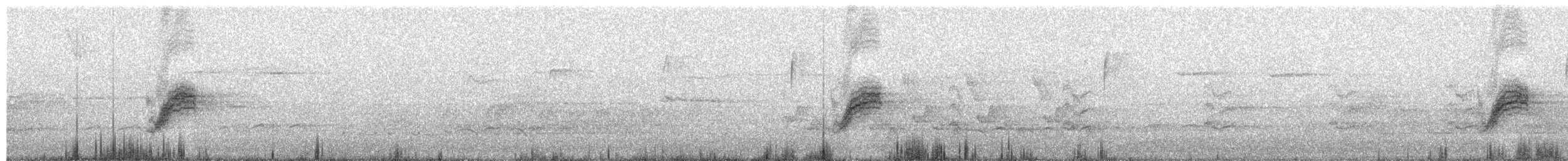 Eastern Towhee - ML53603531