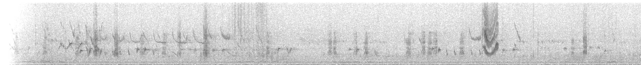 Hirondelle du désert - ML536036351