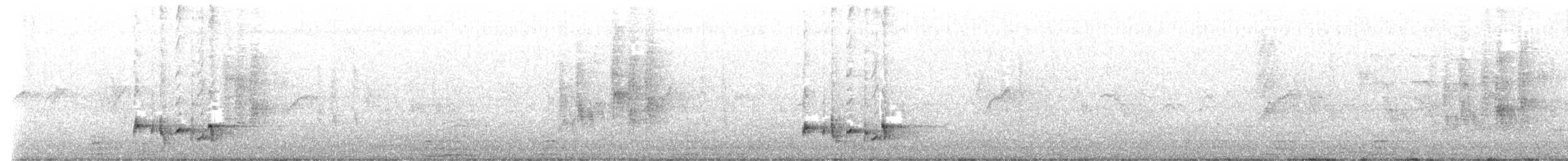 Bulbul à oreillons blancs - ML536040031