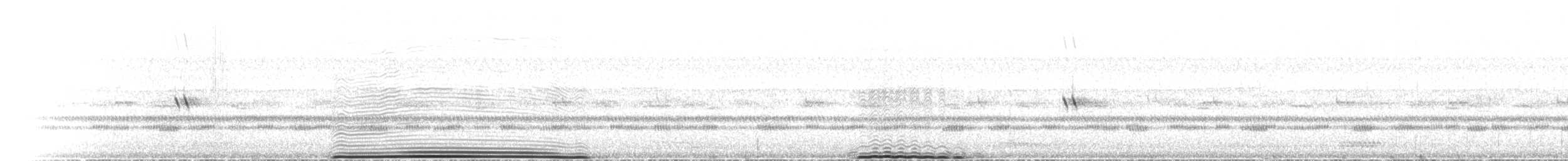 アラビアワシミミズク - ML536045821