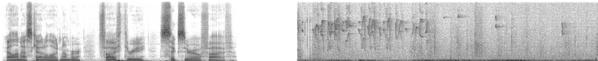 Oleaginous Hemispingus - ML53605