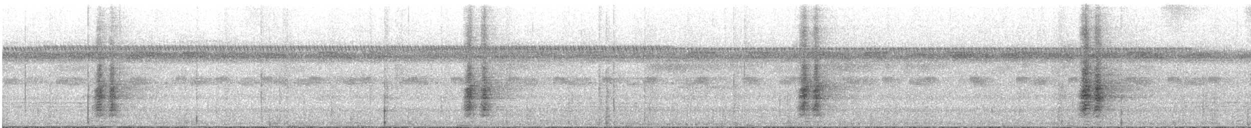gråvingetrompetfugl - ML536115631