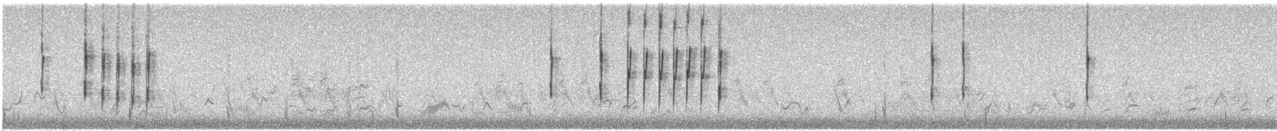 Schmalschnabelkardinal - ML536139921