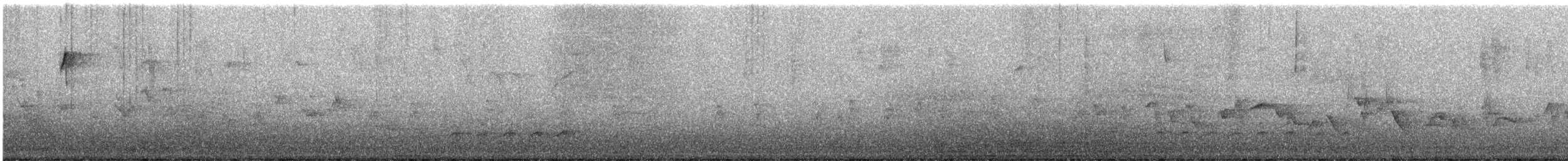 Weißbrustkleiber - ML536166891