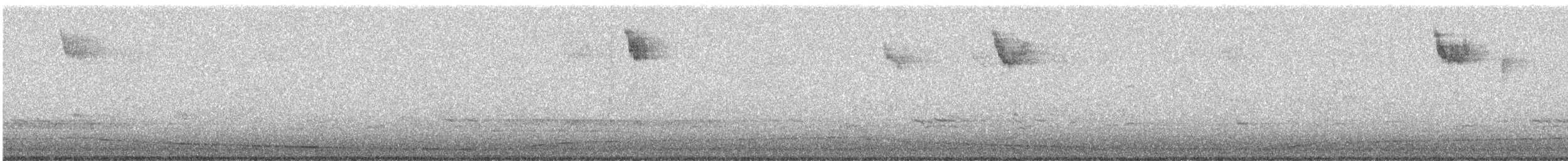 Weißkehlammer - ML536201521