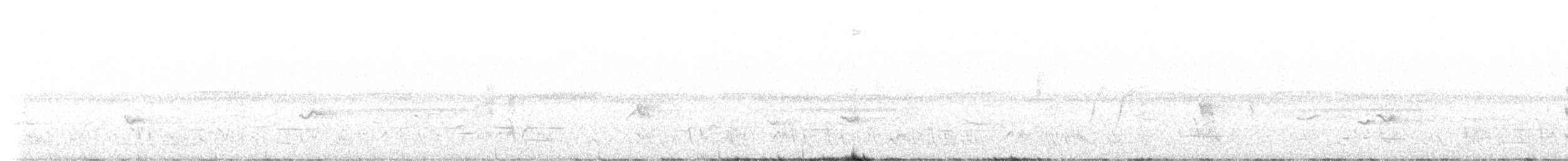 Spotted Nightjar - ML536233461