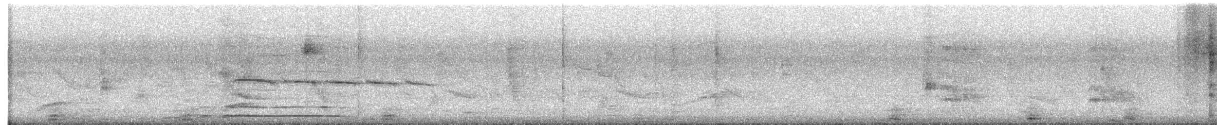 Тиранчик-тонкодзьоб північний - ML536251891
