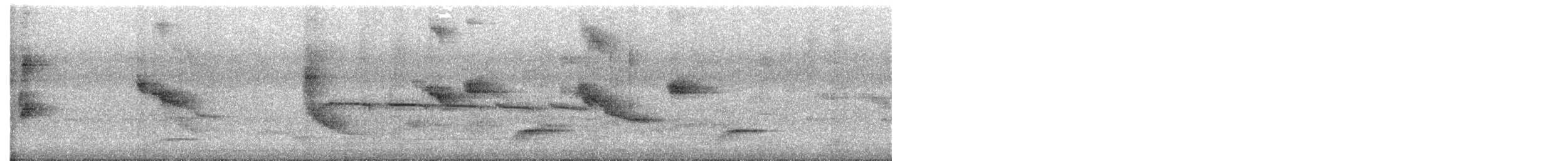 Тиранчик-тонкодзьоб північний - ML536251901