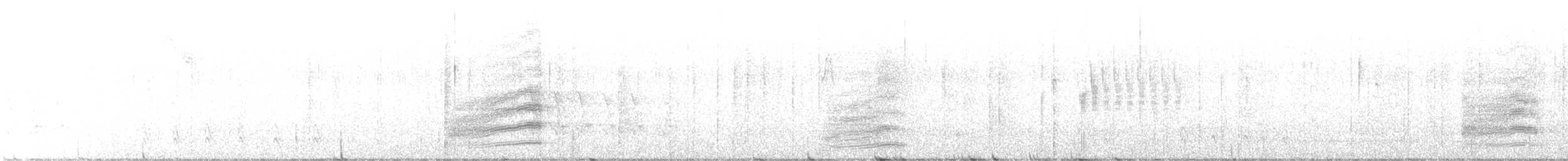 Spotted Towhee (oregonus Group) - ML536252631