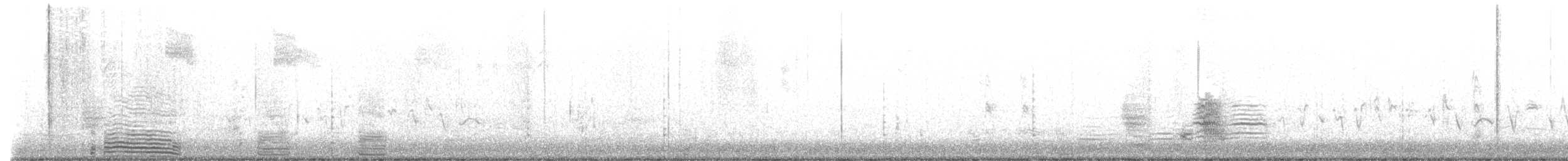 Double-crested Cormorant - ML536294301