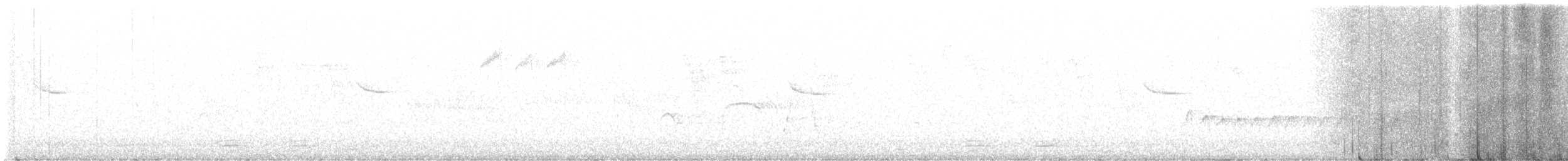 Eurasian Nuthatch (White-bellied) - ML536335611
